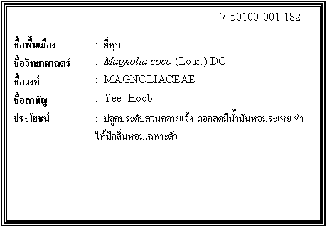ͧͤ: 		7-50100-001-182  		  ;ͧ	:  غ  Էʵ	:  Magnolia coco (Lour.) DC.  ǧ	:  MAGNOLIACEAE  ѭ	:  Yee  Hoob  ª	:  ١дѺǹҧ ͡ʴչѹ ա੾е    