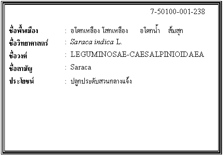 ͧͤ: 		7-50100-001-238  		  ;ͧ	:  ȡͧ ʡͧ        ȡ     ء  Էʵ	:  Saraca indica L.  ǧ	:  LEGUMINOSAE-CAESALPINIOIDAEA  ѭ	:  Saraca  ª	:  ١дѺǹҧ    