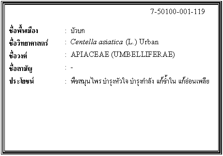 ͧͤ: 		7-50100-001-119  		  ;ͧ	:  Ǻ  Էʵ	:  Centella asiatica (L.) Urban  ǧ	:  APIACEAE (UMBELLIFERAE)  ѭ	:  -  ª	:  תع ا اѧ  ͹    
