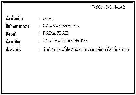 ͧͤ: 		7-50100-001-242  		  ;ͧ	:  ѭѭ  Էʵ	:  Clitoria ternatea L.  ǧ	:  FABACEAE  ѭ	:  Blue Pea, Butterfly Pea  ª	:  Ѻ оԡ к·ͧ  ҿҧ    