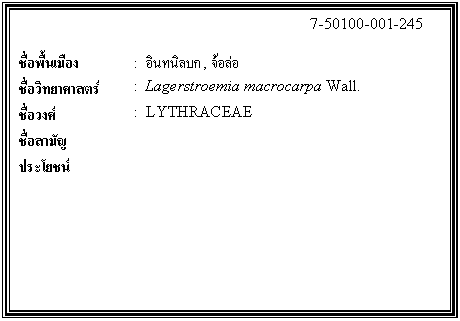 ͧͤ: 		7-50100-001-245  		  ;ͧ	:  Թź,   Էʵ	:  Lagerstroemia macrocarpa Wall.  ǧ	:  LYTHRACEAE  ѭ	  ª	    