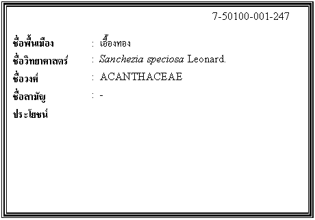 ͧͤ: 		7-50100-001-247  		  ;ͧ	:  ͧͧ  Էʵ	:  Sanchezia speciosa Leonard.  ǧ	:  ACANTHACEAE  ѭ	:  -  ª	    